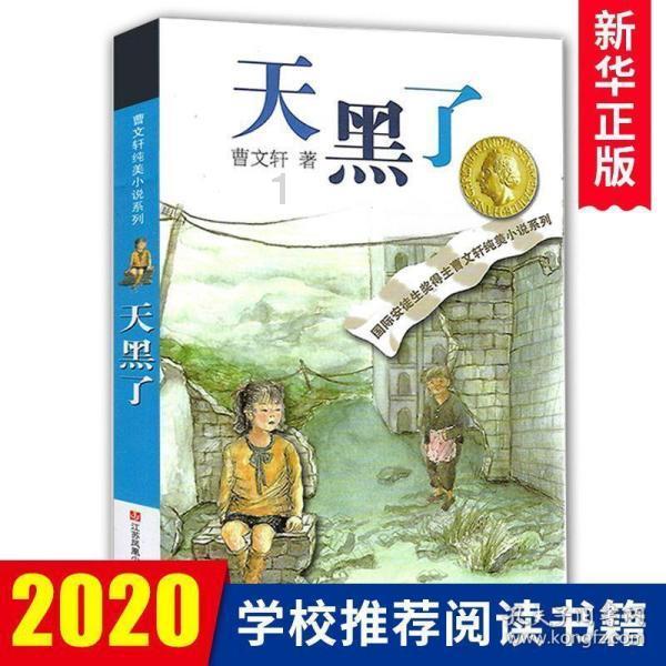 空间战机挑战
